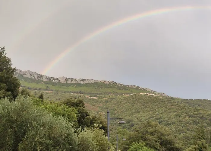 Sa Dommu \'E Su Coro