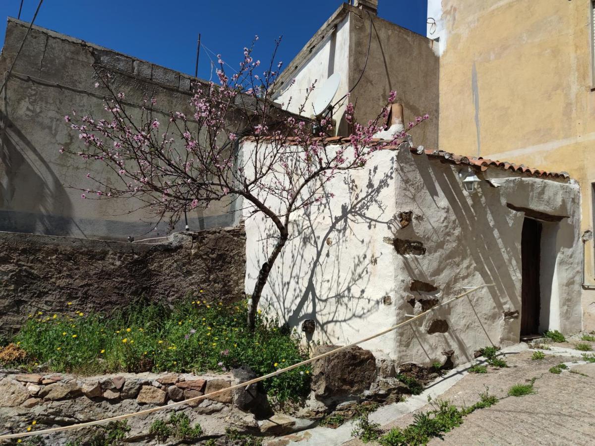 Sa Dommu 'e Su Coro
