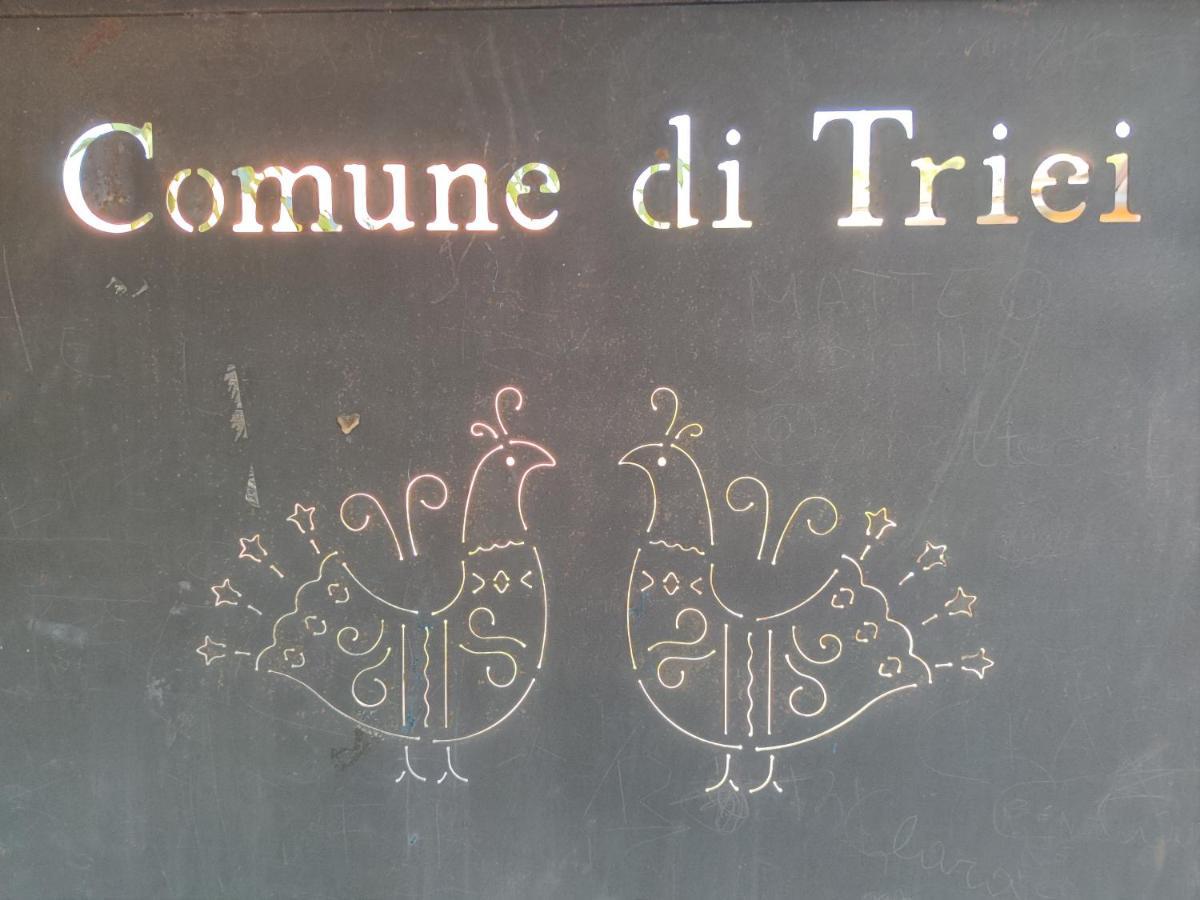 Sa Dommu 'e Su Coro Holiday home *