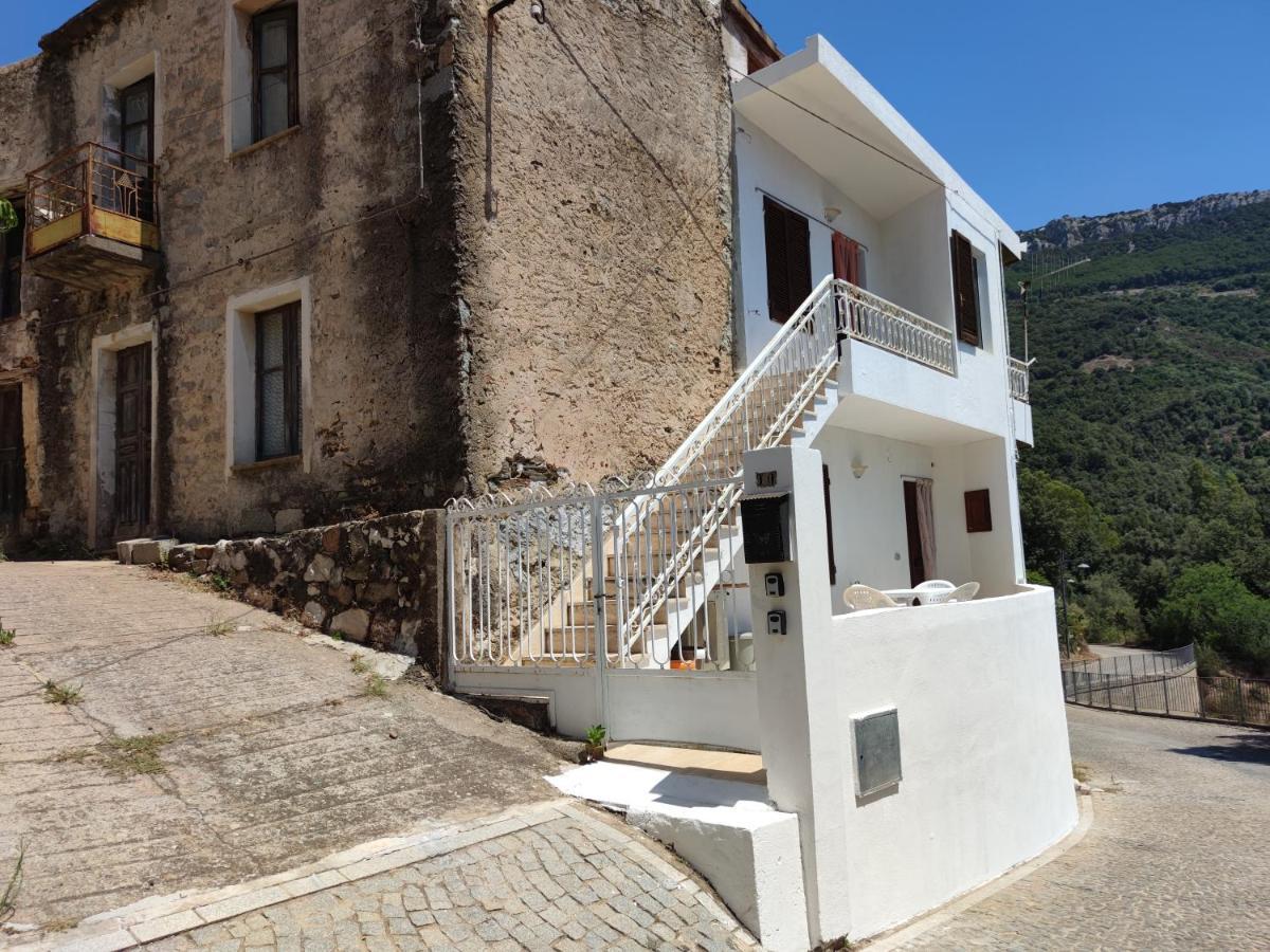 Sa Dommu 'e Su Coro Holiday home Triei